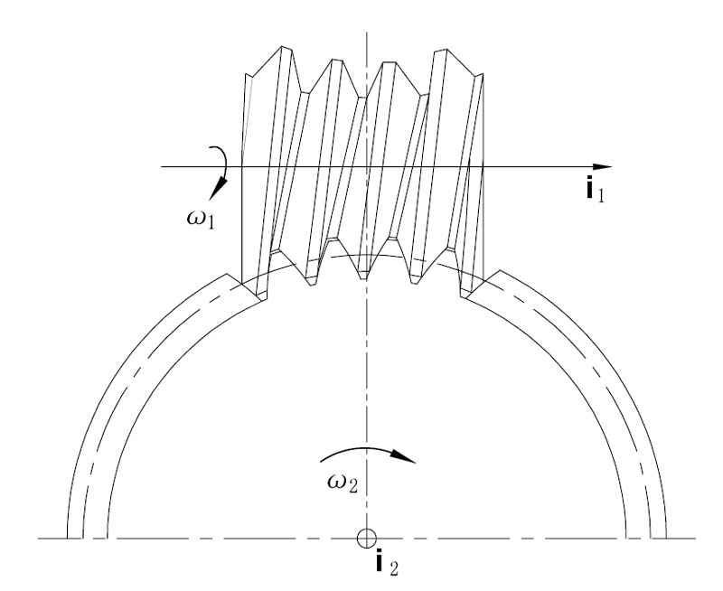 worm gear 5