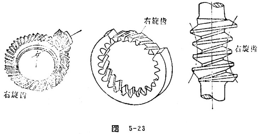 the tooth surface and tooth direction 1