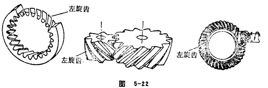 the tooth surface and tooth direction 2
