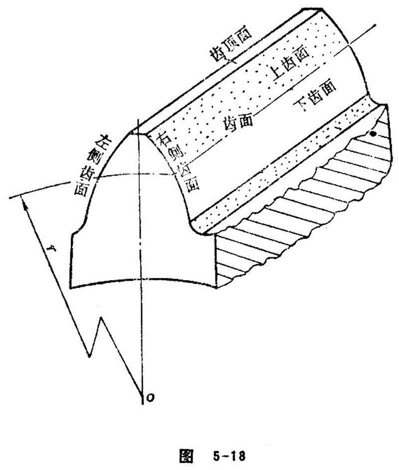 the tooth surface and tooth direction 3