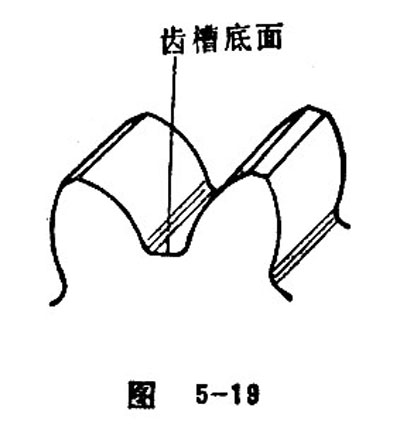 the tooth surface and tooth direction 5
